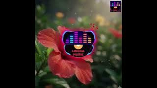 Dua album nella kharisma - jangan nget ngetan dan move on ( official music video )