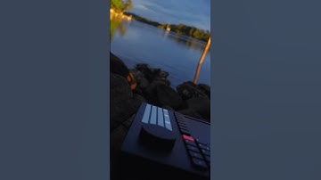 Sunset Lofi Beats with the Polyend Tracker | #Shorts