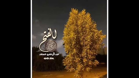 تلاوة خاشعة للقارئ عبدالرحمن مسعد من سورة الفتح ما تيسر منها