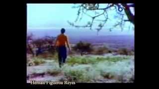 Hernán Figueroa Reyes: Homenaje Compilado, Éxitos En Videos