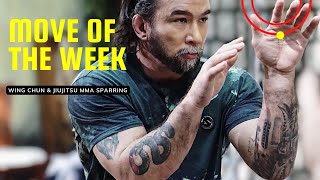 Move of the Week - Improve your Wing Chun and BJJ
