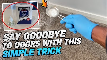 The Best Ways to Deodorize Your Carpets (Home Science)