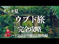 【バリ島旅日記】ウブド旅8日間全部見せます!|コレを見れば完璧!楽園の散歩道3ヵ所|オゴオゴ・ニュピ