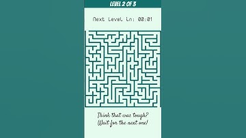 Can YOU Solve These 3 Maze Puzzles?! 🤔 labyrinth Challenge!