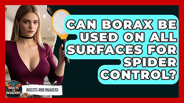 Can Borax Be Used On All Surfaces For Spider Control? - Insects and Invaders
