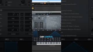 Serum Unison In Mono