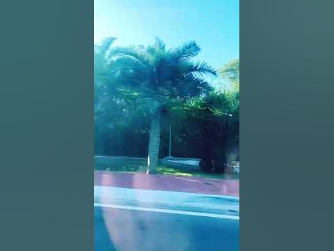 Канкун. Где-то в городе #канкун #мексика #cancun #mexico - YouTube