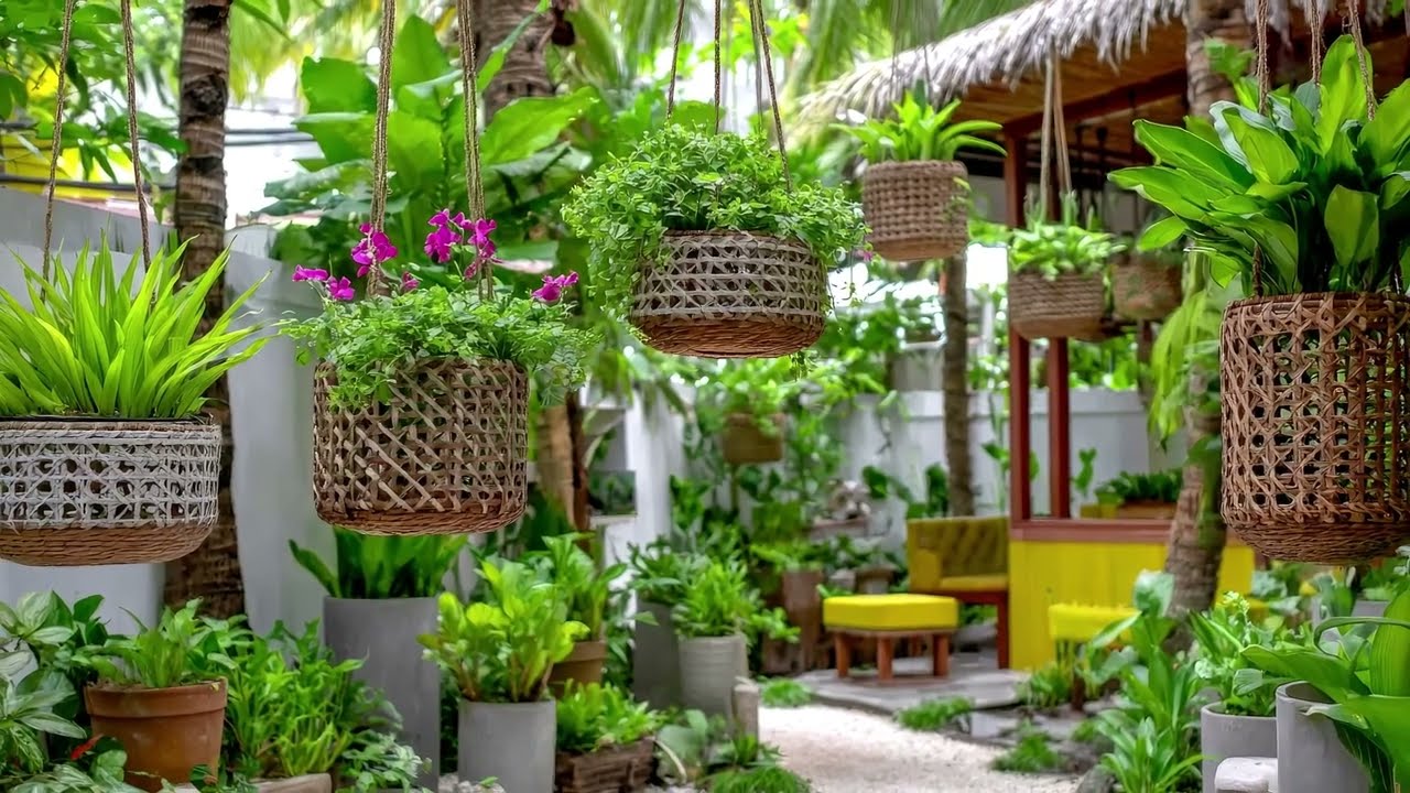 Orchids In The Garden: Transform Your Backyard Instantly With These Beautiful DIY Ideas!🌸