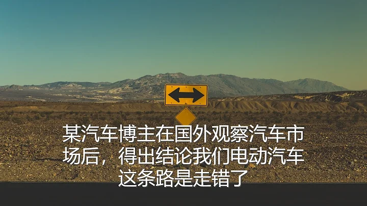 坤姐闖江湖：某汽車博主在國外觀察汽車市場後，得出結論我們電動汽車這條路是走錯了 - 天天要聞