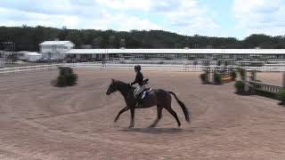  Of Quite Foxy Ridden By Krysia Nelson From Shownet