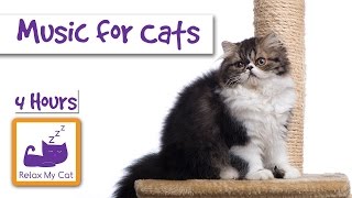 4 Hours Of Music For Cats Extra Long Cat Music Lasts 4 Hours To Help Your Cat Sleep