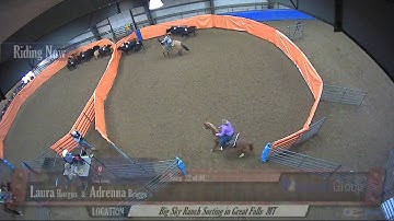 Big Sky Ranch Sorting Saddle Series #2 - #6 H/C - Round #1 - Ride #22