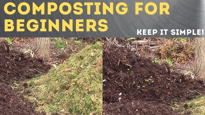 How to Make Compost Soil: Easy Steps for Rich, Fertile Gardens