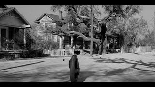 Insightful Book Review: To Kill a Mockingbird - Unmasking Society's Injustices