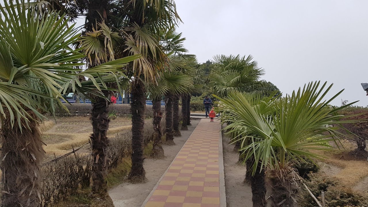 Darjeeling Eco Garden. Darjeeling Tourist Attraction