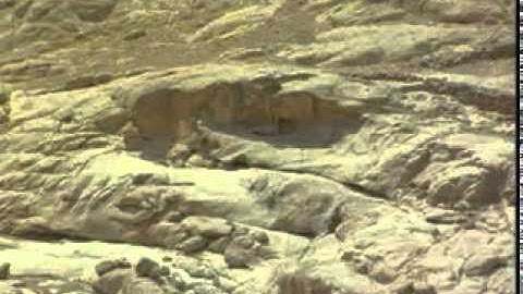 Qasidah Sulis-Bertemu Nabi