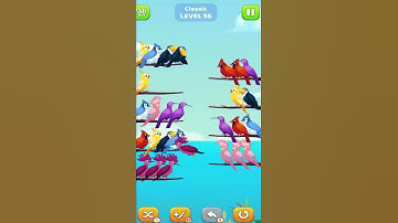 BIRD SORT COLOUR - LEVEL 56 I Shorts