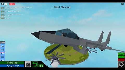 My F-14 Tomcat (Plane Crazy Showcase)