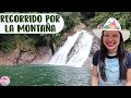 Caminata ecológica hacia una CASCADA: Las plantas que me encontré por la MONTAÑA │Candy Bu