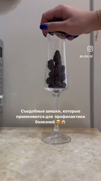 Цукаты из сосновой шишки — это уникальный продукт! Настоящий сибирский ...