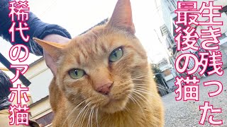 ママネコ様　まとめ4点 hqdefault.jpg