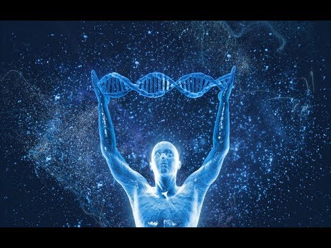Рецепты галлюциногенных грибов,