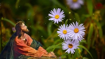 Tông Đồ Cầu Nguyện - Ngày 4-11 Trưa