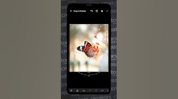 High Quality Photo Export Settings 🔥🔥