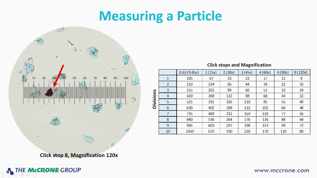 Microscope Magnification Chart