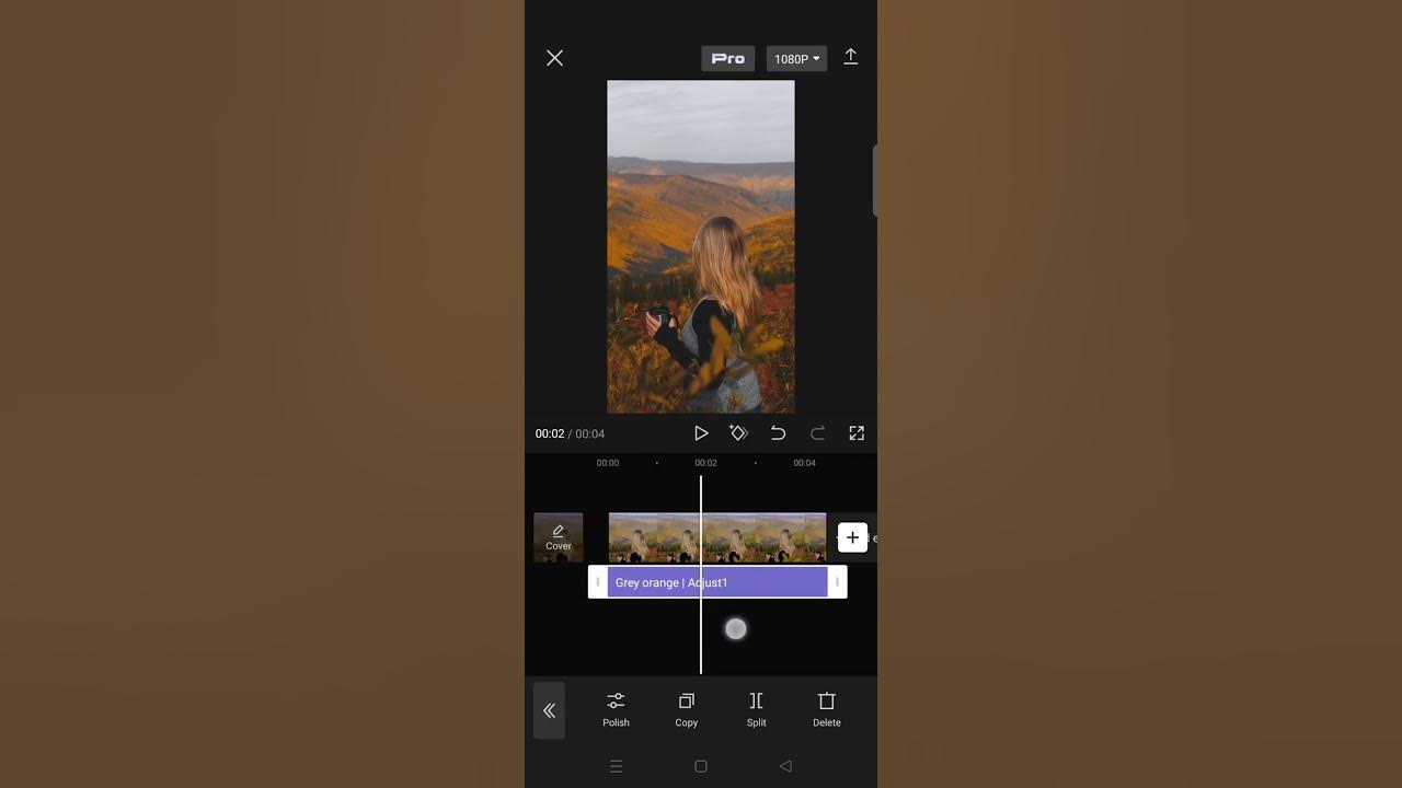CapCut Warm Coloring Tutorial! How Can You Make a Warm Coloring for