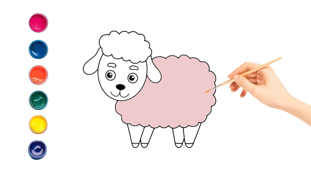 How To Color Sheep For kindergarten, toddler and elementary school ...