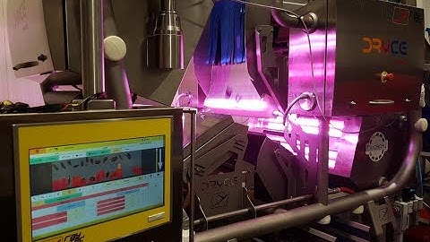 Dryce : sorting machine used for fresh mussels | Raytec Vision