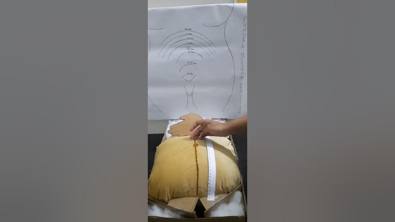 Examination Of Fundal Height YouTube