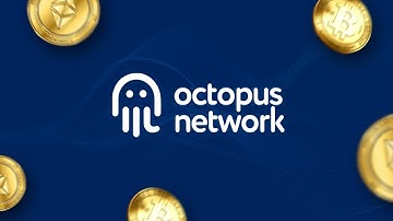 Octopus Network Review