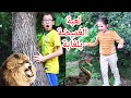لعبة الغميضة بلغابة طلعتلو حية لغيث سمعنا أصوات بتخوف لعبة الغميضة بلغابة طلعتلو حية لغيث سمعنا أصوات بتخوف