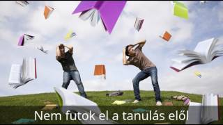 Online Marketing Menedzser