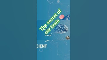 Did you know? Your Brain is Smarter Than a Computer! 🧠 #shorts #facts #brain