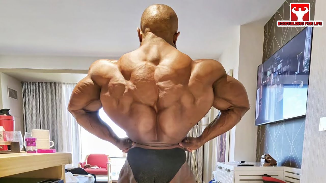 Bodibilder mushuklari