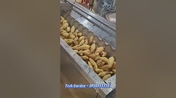 Máy rửa, cạo vỏ khoai, nông sản Tech Garden. Lh 0935911775 Trần Trinh.