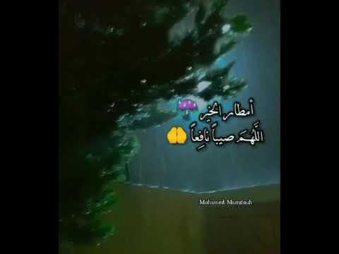 اللهم أروي قلوبنا فرحا يا الله مطر دعاء تصويري Rain Explore Fyp