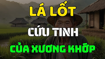 Thực Hư Chuyện Lá Lốt Chữa Được Đau Nhức Xương Khớp -  Sự Thật ít Ai Biết