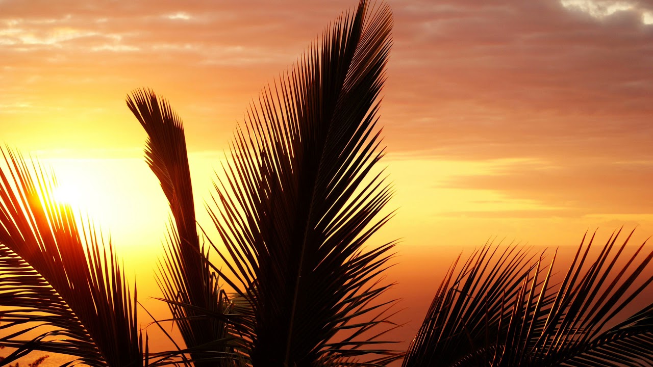 Above & Beyond - Anjunabeach (Original Mix) - YouTube