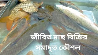 জীবিত মাছ বিক্রির কৌশল || Live fish sale || Fish market ||