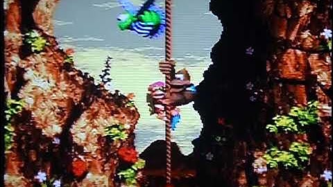 Kong-Fused Cliffs (Donkey Kong Country 3: Dixie Kong
