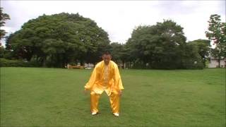 【魏保強先生】陳式混元太極拳養生内気功③ 混元太極拳24式　演武　紹介② from 黄河文化店