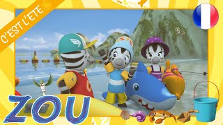 Zou En Français Cest Lété 60Min Compilation Dessins Animés