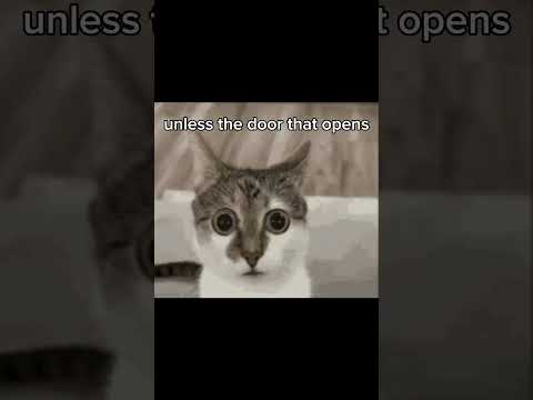 لاري كلوزيت رائج مضحك