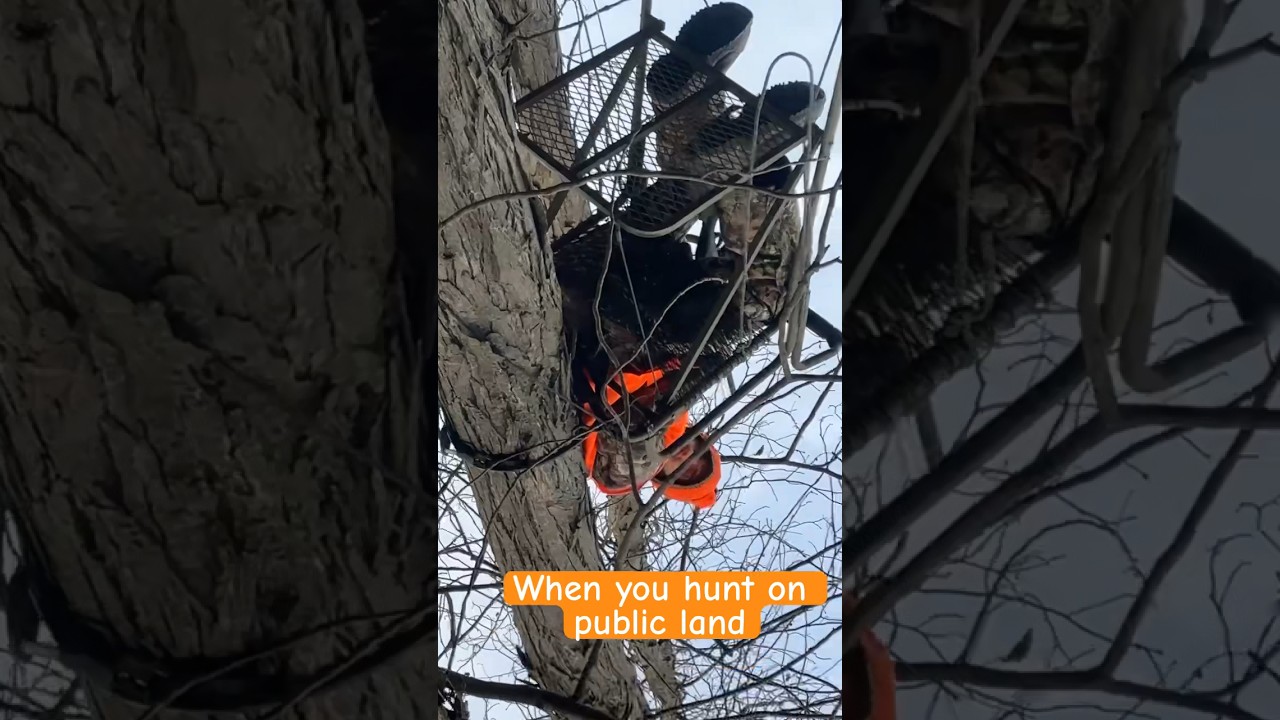 When you hunt on public land be like 