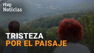 SOLASTALGIA, la PENA PROFUNDA por la PÉRDIDA o la AMENAZA DIRECTA de ECOSISTEMAS | RTVE Noticias
