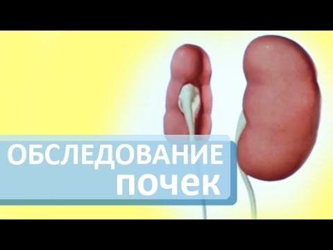 Видео: Внеклеточный везикулярный перенос амилоида в нервные клетки-предшественники: значение для RAGE и ВИЧ-инфекции